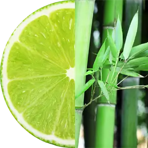 Lime Bamboo Oxygen Bar Fragrance